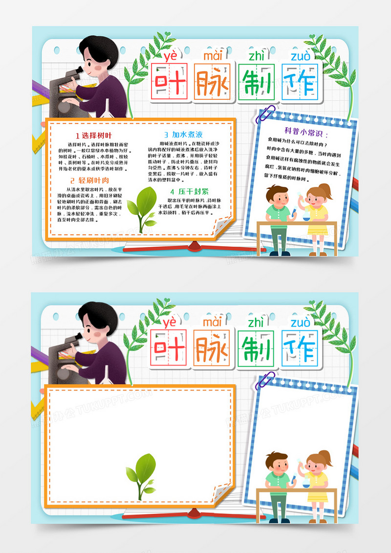 卡通制作叶脉手抄报word模板      