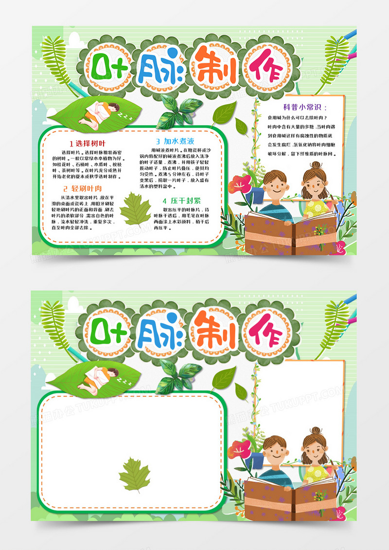 制作叶脉卡通手抄报word模板     