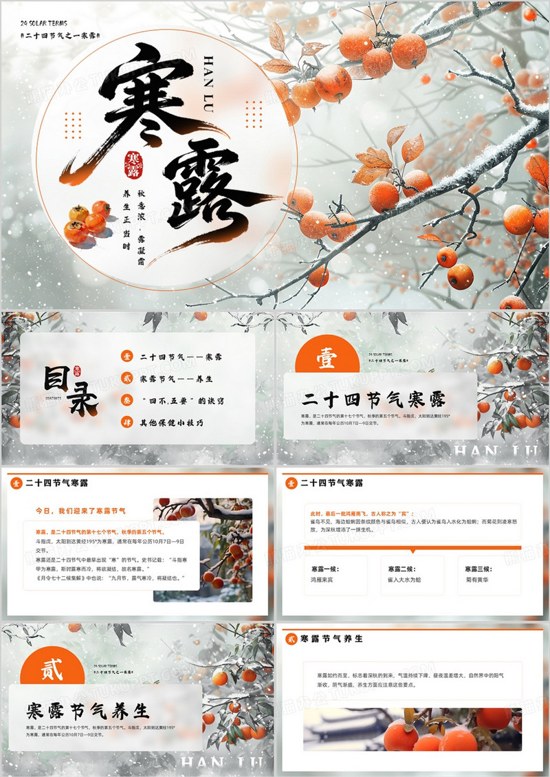 橙色插画风二十四节气之寒露PPT模板