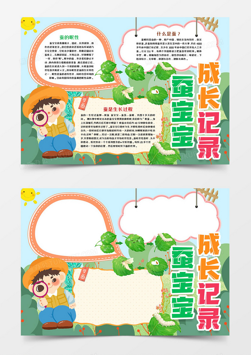 蚕宝宝成长观察记录小报模板