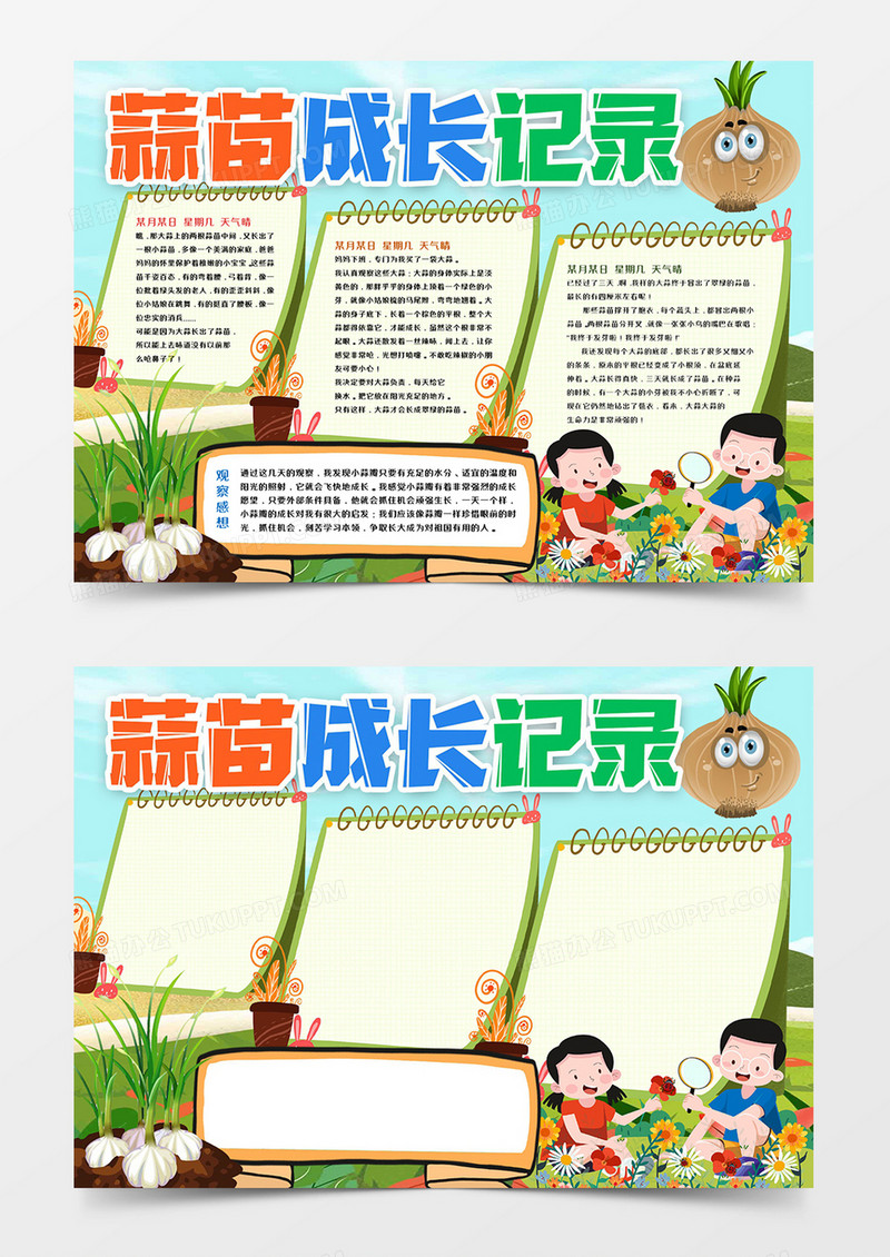 蒜苗成长观察记录小报模板