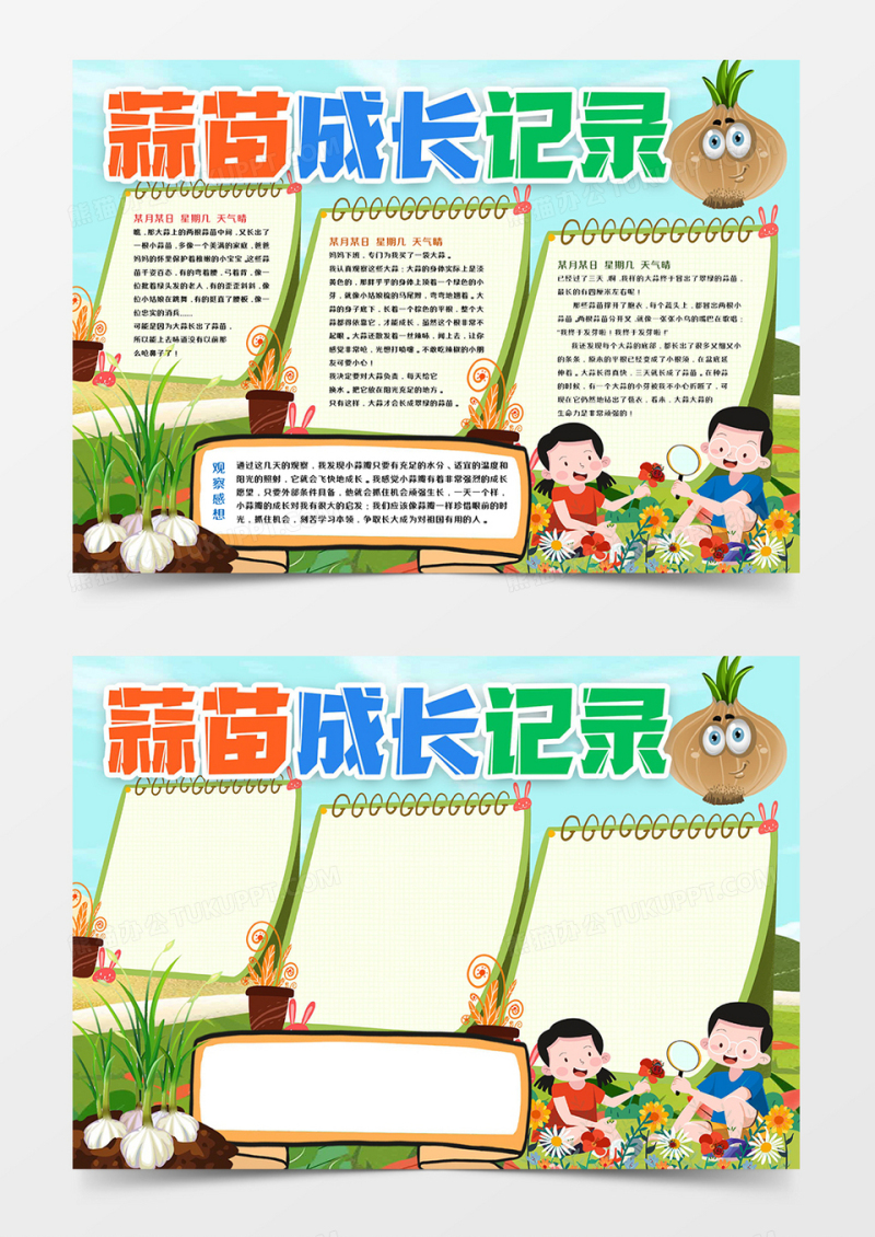 蒜苗成长观察记录小报模板