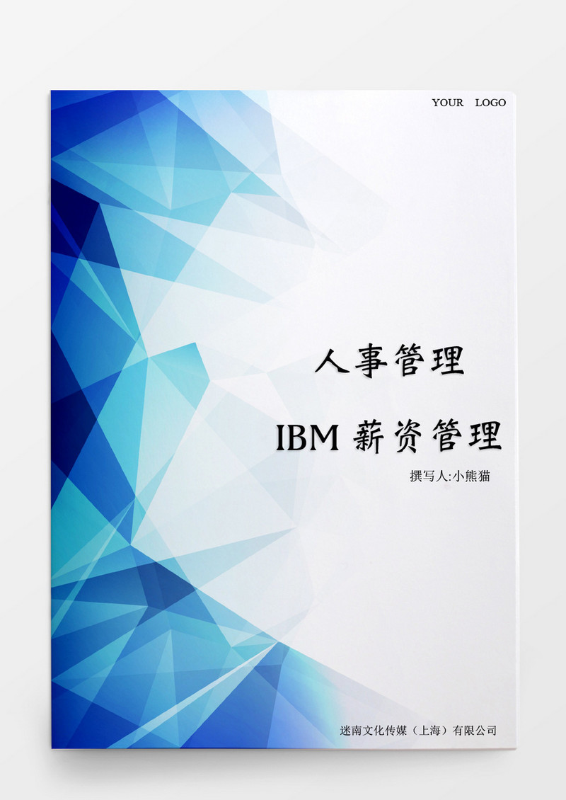 人事管理IBM薪资管理word文档
