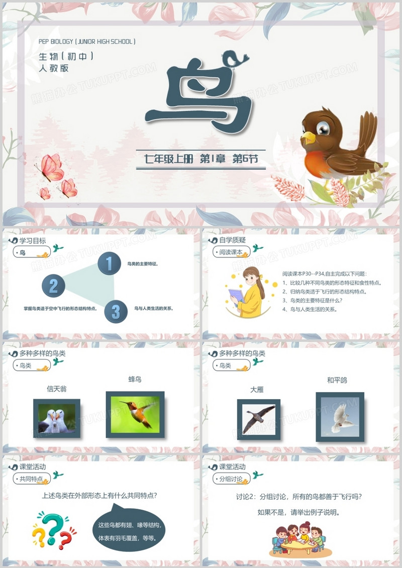 部编版七年级语文上册鸟课件PPT模板