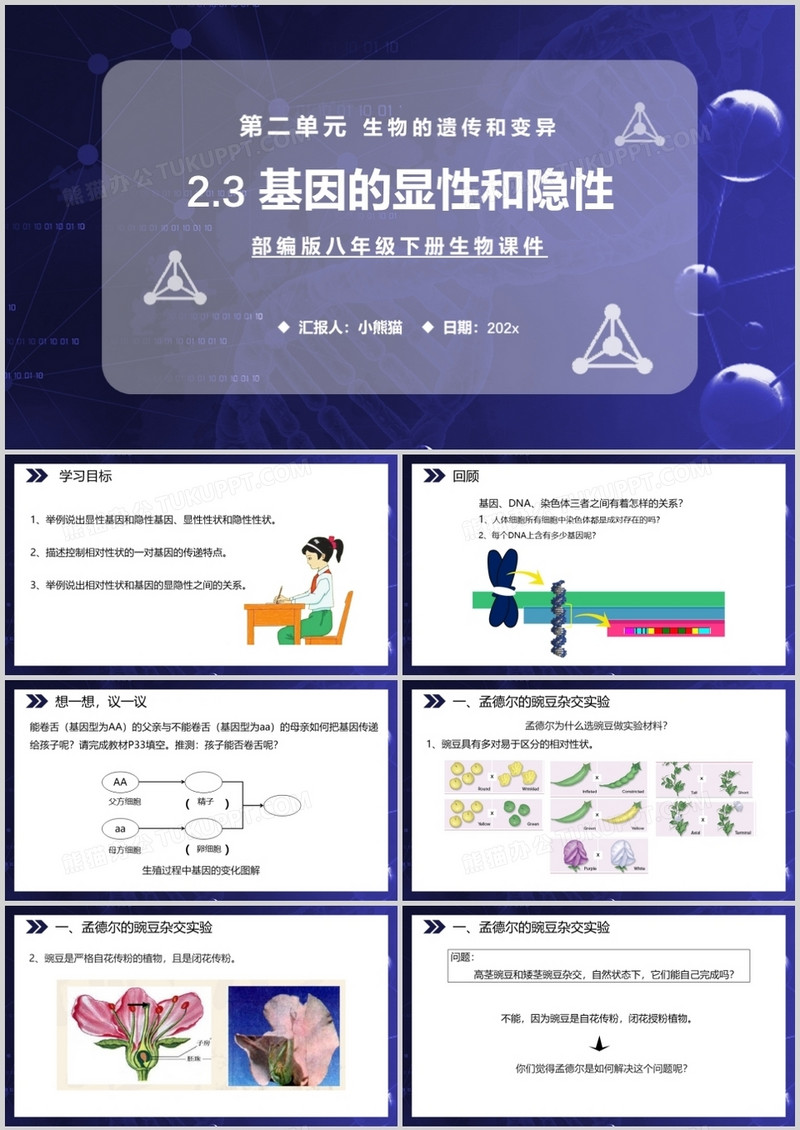 部编版八年级生物下册基因的显性和隐性课件PPT模板