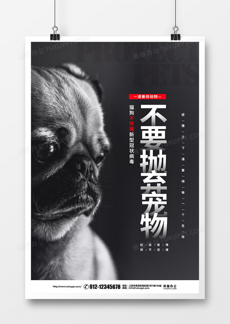黑色简约抗击疫情不要抛弃宠物宣传倡议海报设计