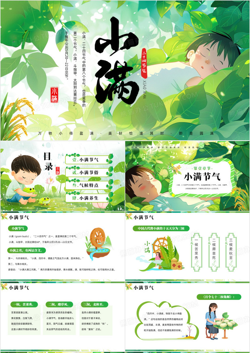 绿色插画风二十四节气之小满PPT模板