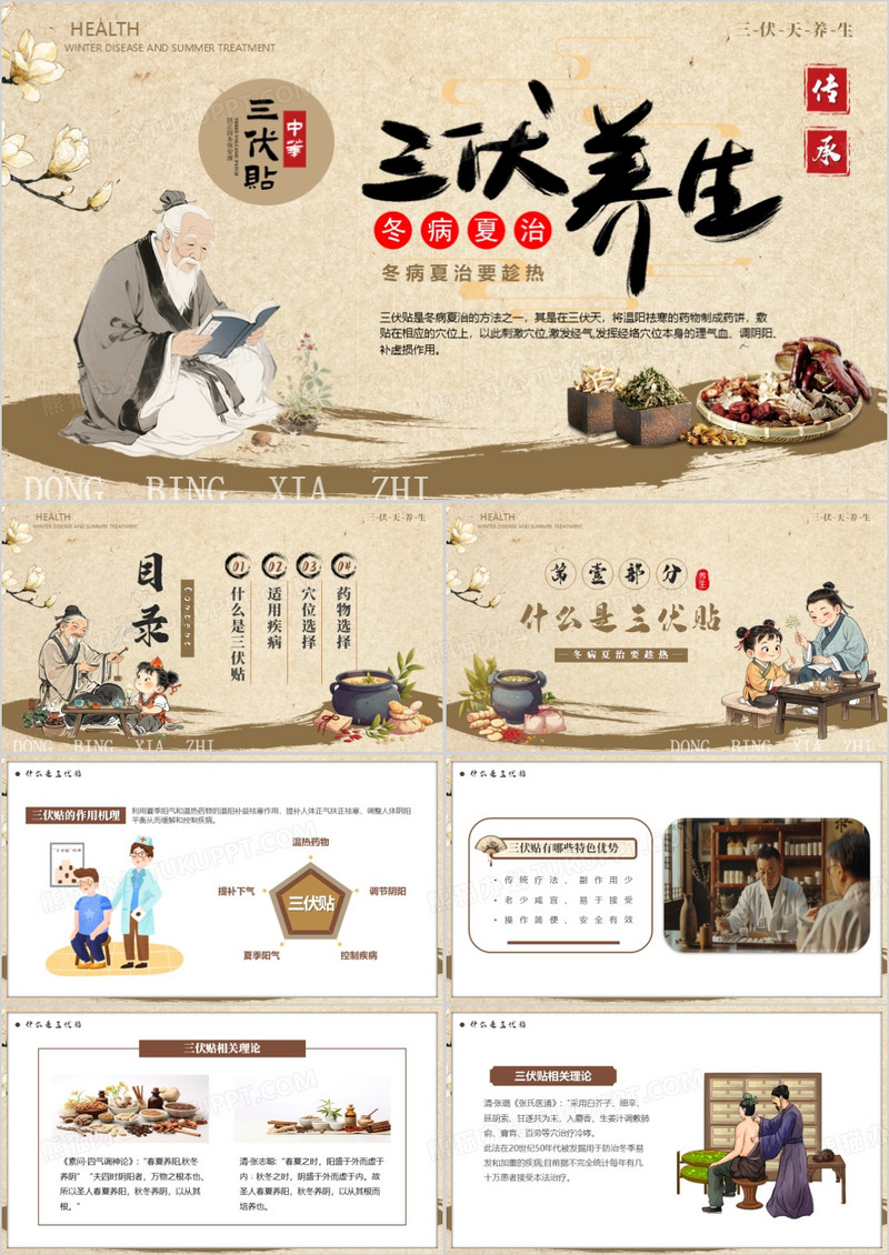 棕色中国风三伏养生冬病夏治PPT模版