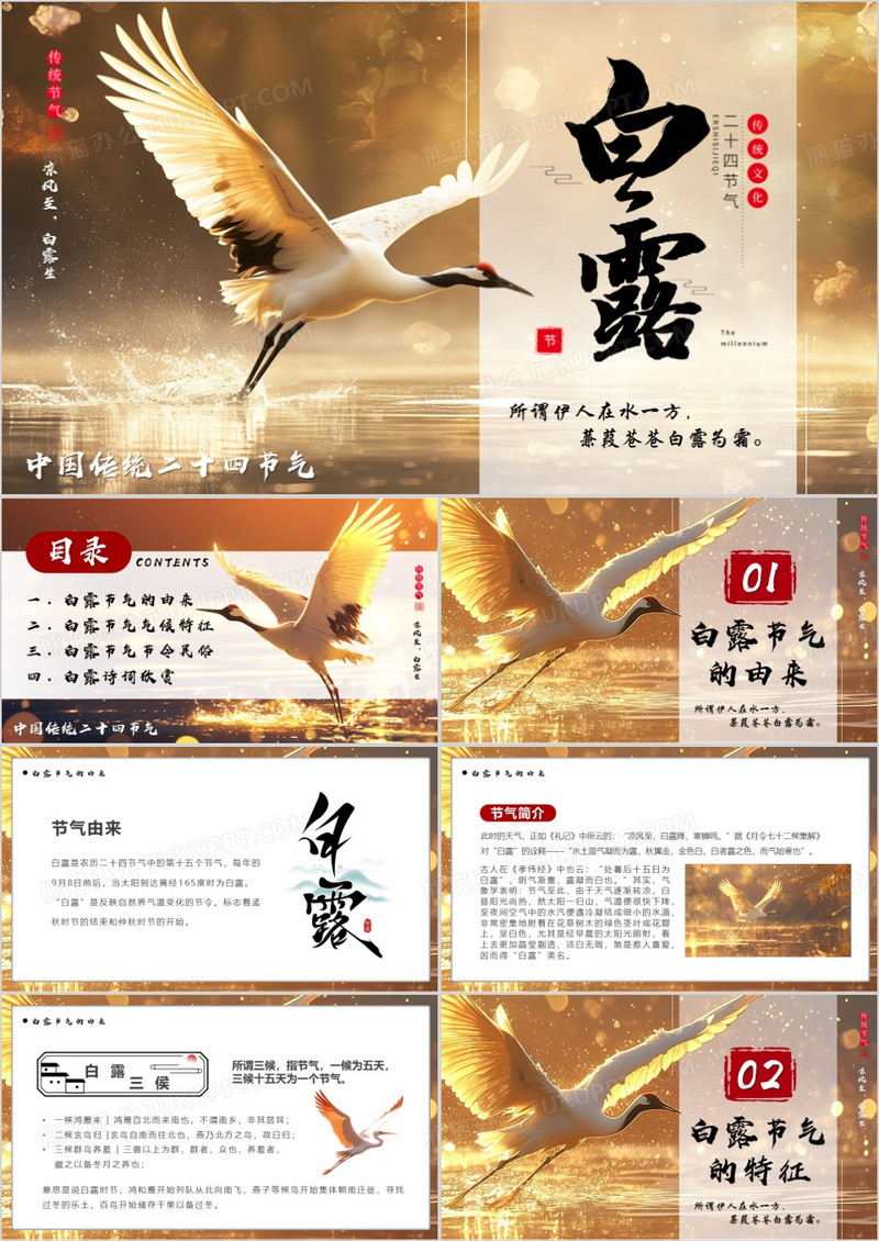 棕色插画风中国传统节气之白露PPT模版