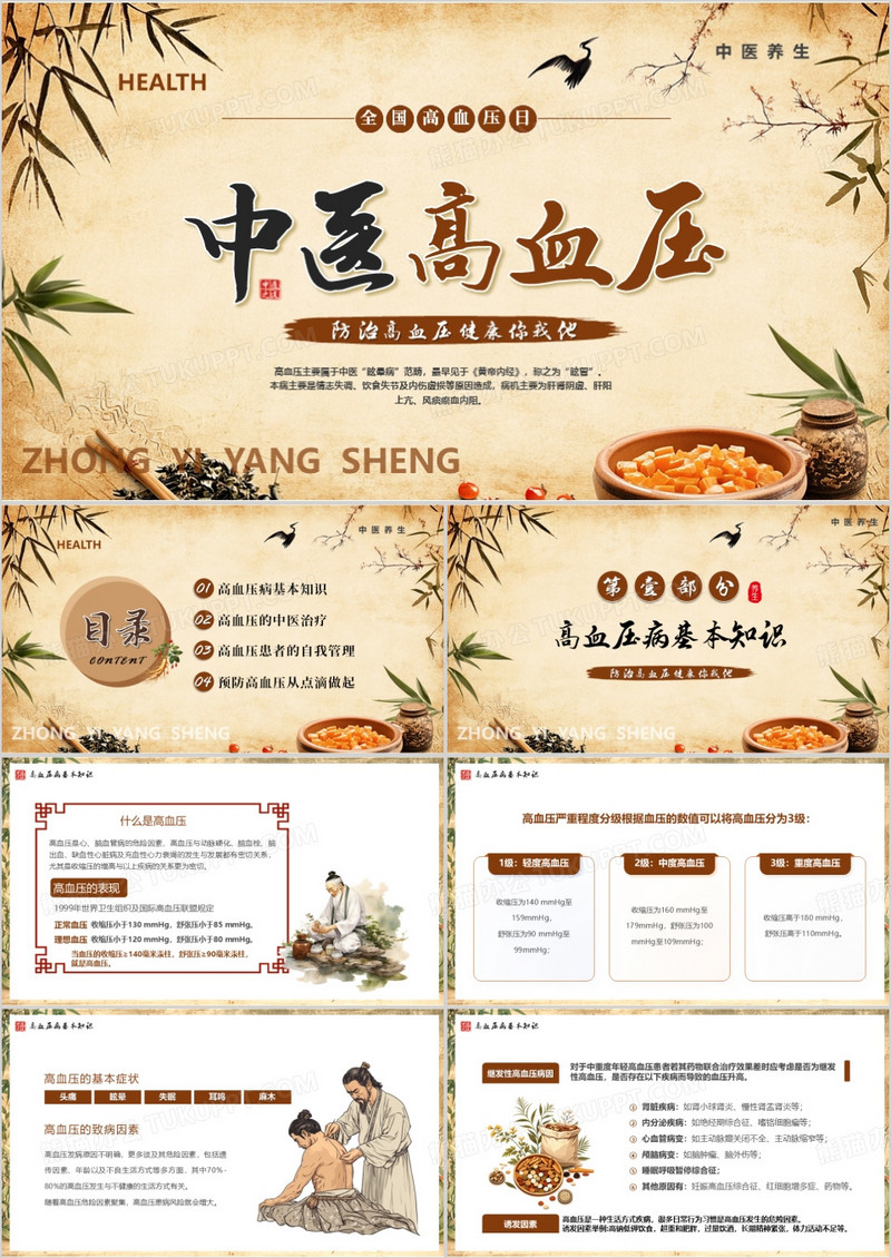 棕色中国风中医高血压PPT模版