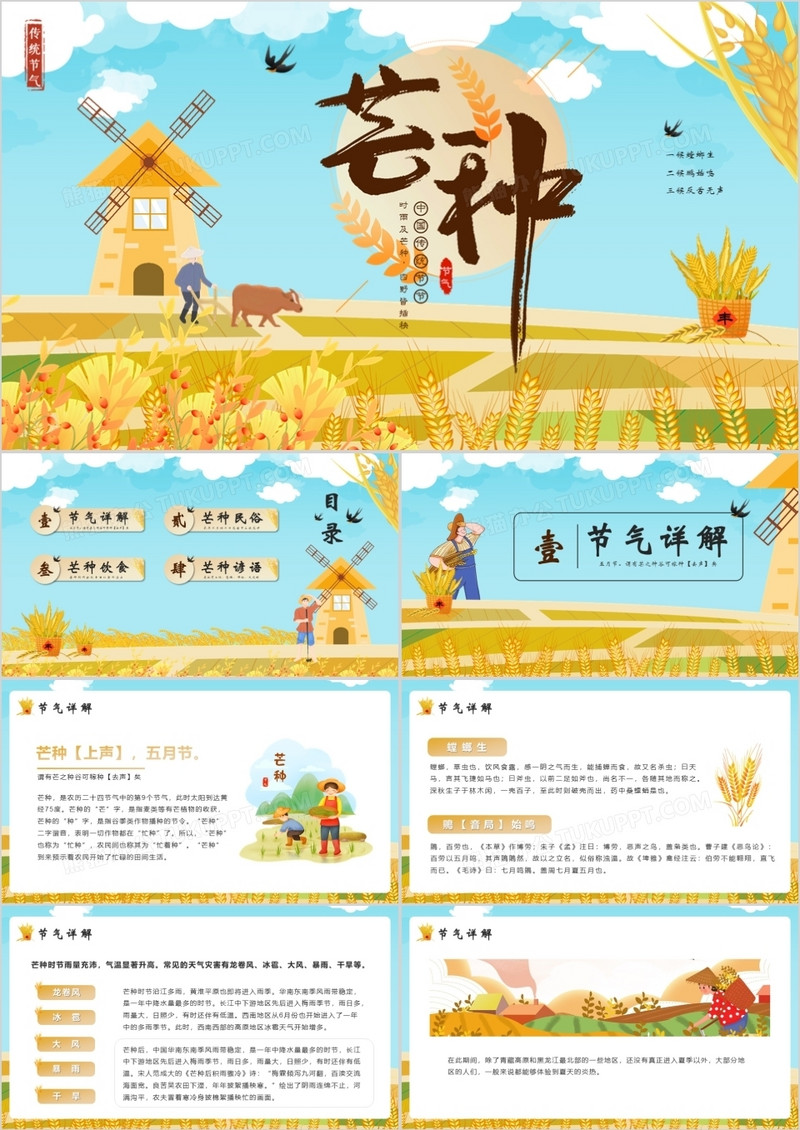 手绘卡通中国传统二十四节气芒种PPT模版