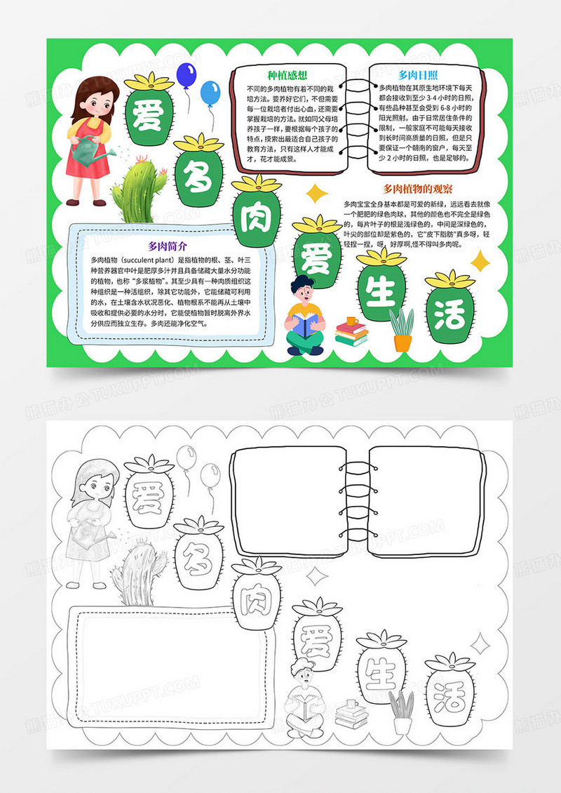 爱多肉爱生活多肉植物生长小报手抄报卡通小报手抄报