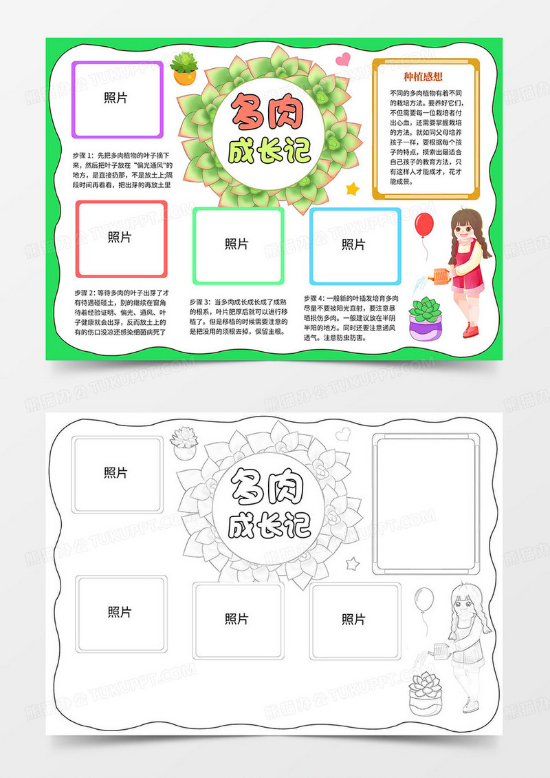 多肉成长记手抄报小报word模板