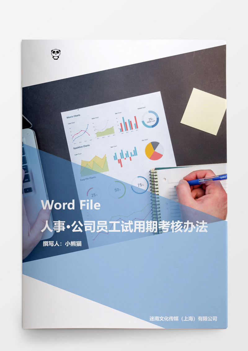 公司员工试用期考核办法word文档