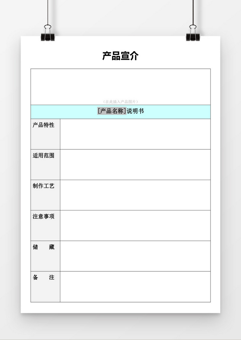 产品宣介word模板