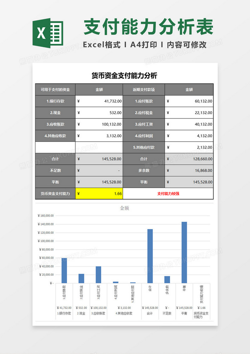 货币资金支付能力分析表excel模板