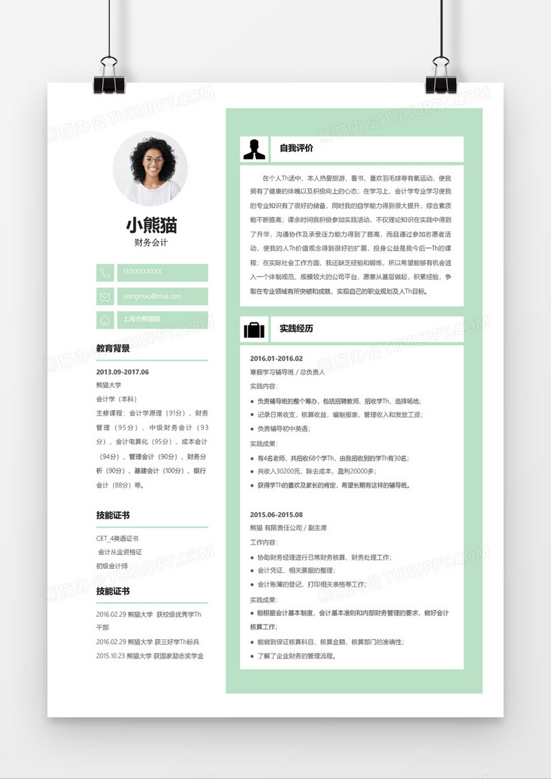 浅绿色财务会计简历word简历模板