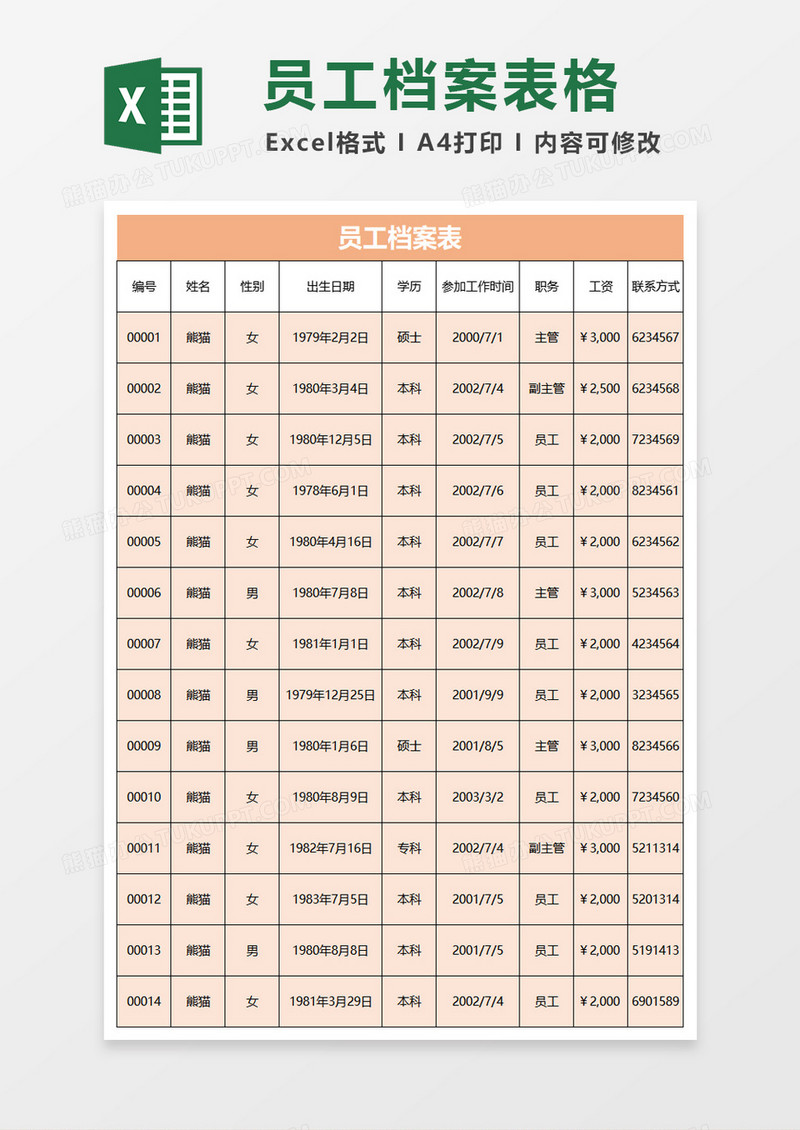 档案表实例拓展excel模板