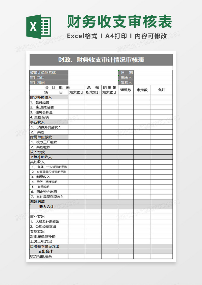 实用财政财务收支审计情况审核表excel模板