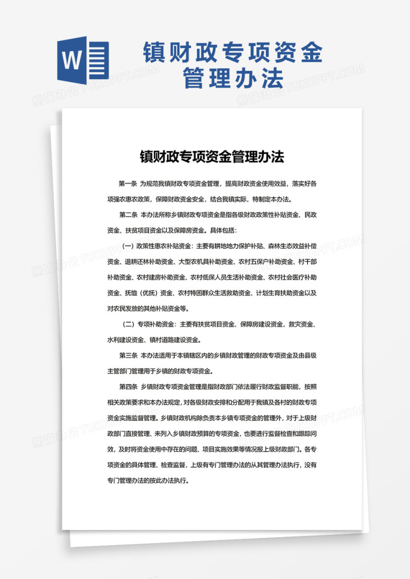 镇财政专项资金管理办法word模板