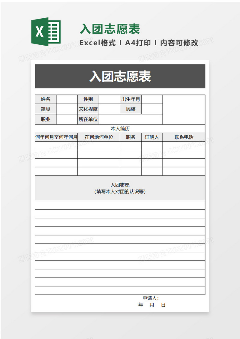 简洁入团志愿表excel模板