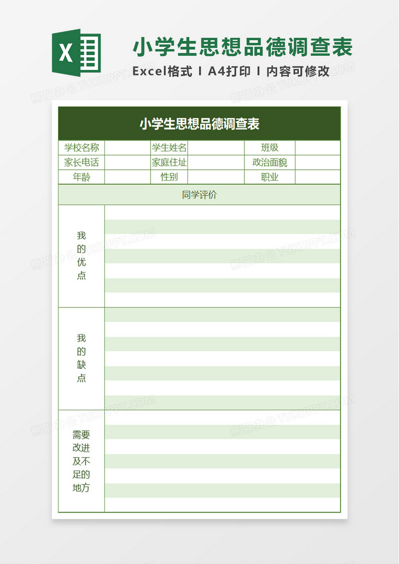 小学生思想品德调查表excel模板