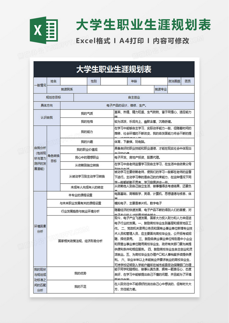 大学生职业生涯规划表excel模板