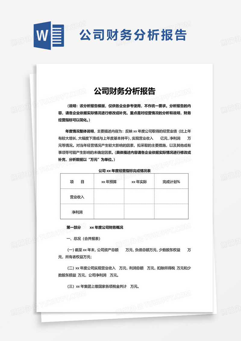 实用公司财务分析报告word模板