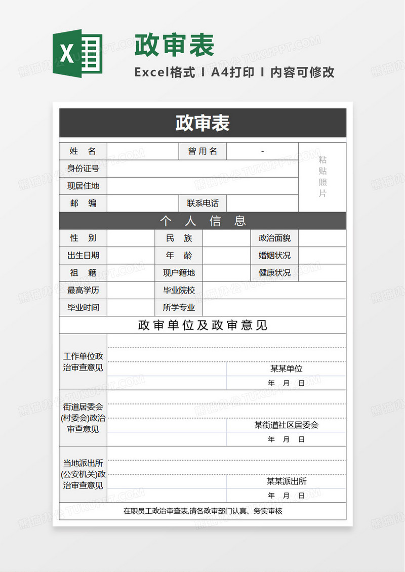简洁政审表excel模板