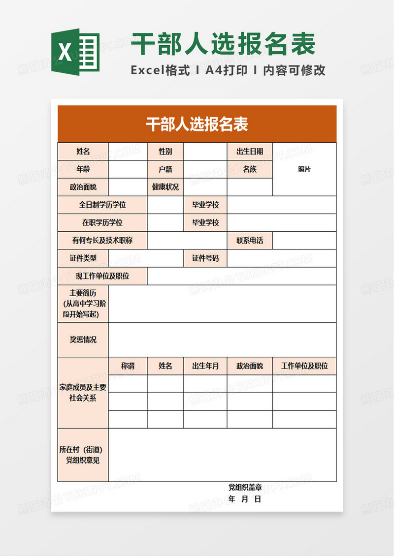 干部人选报名表excel模板