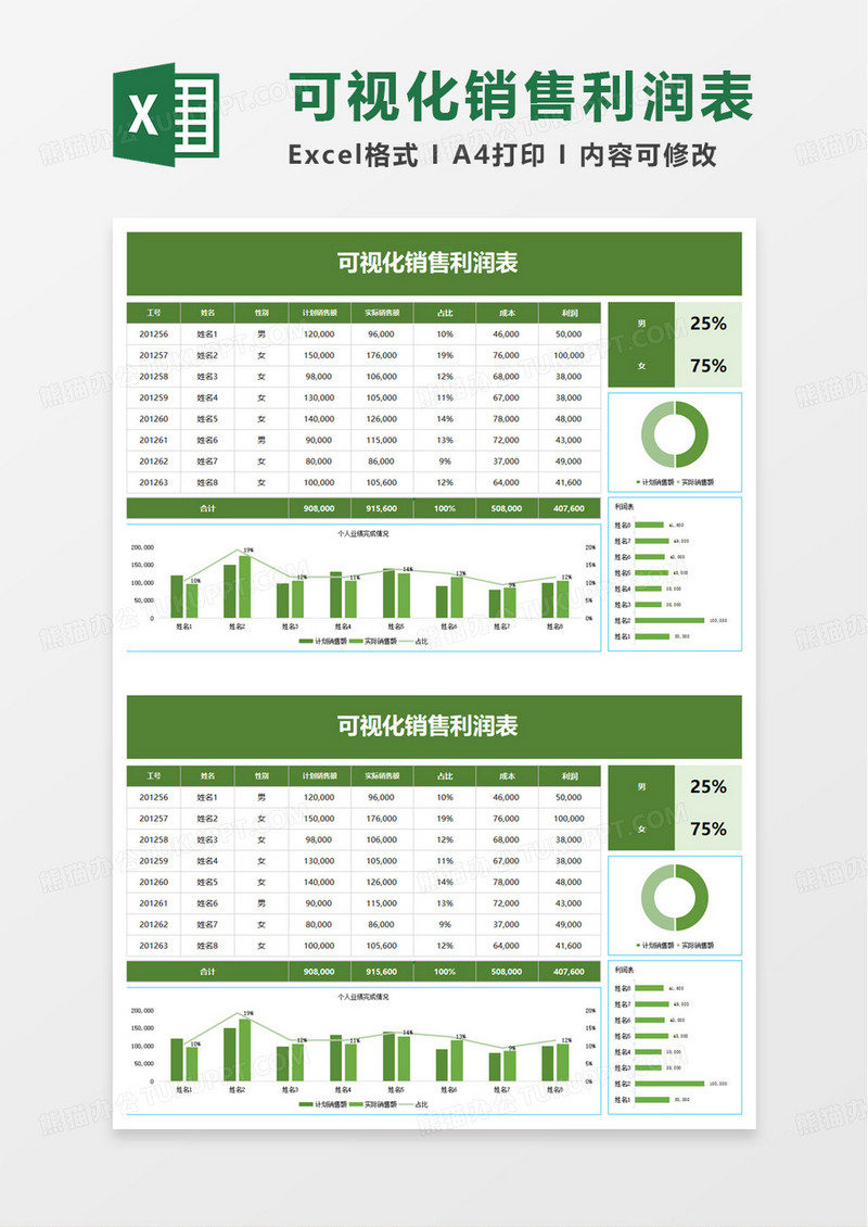 可视化销售利润表excel模板