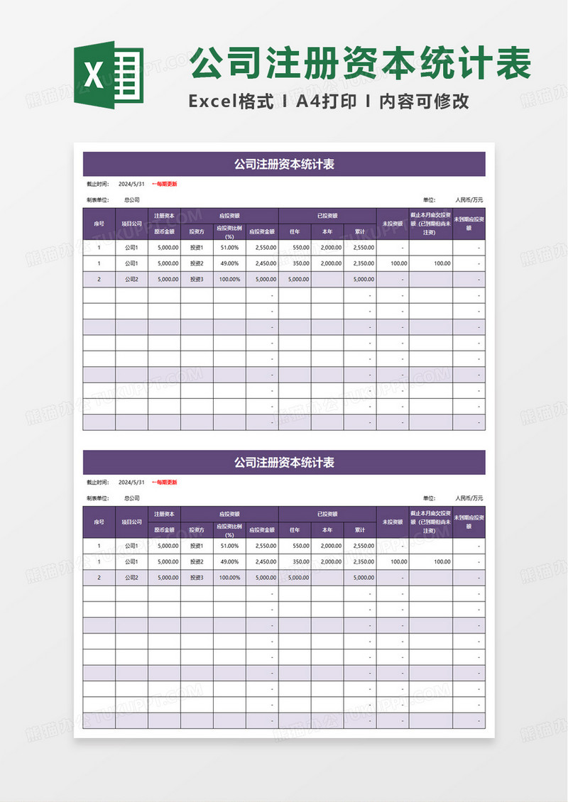公司注册资本统计表excel模板