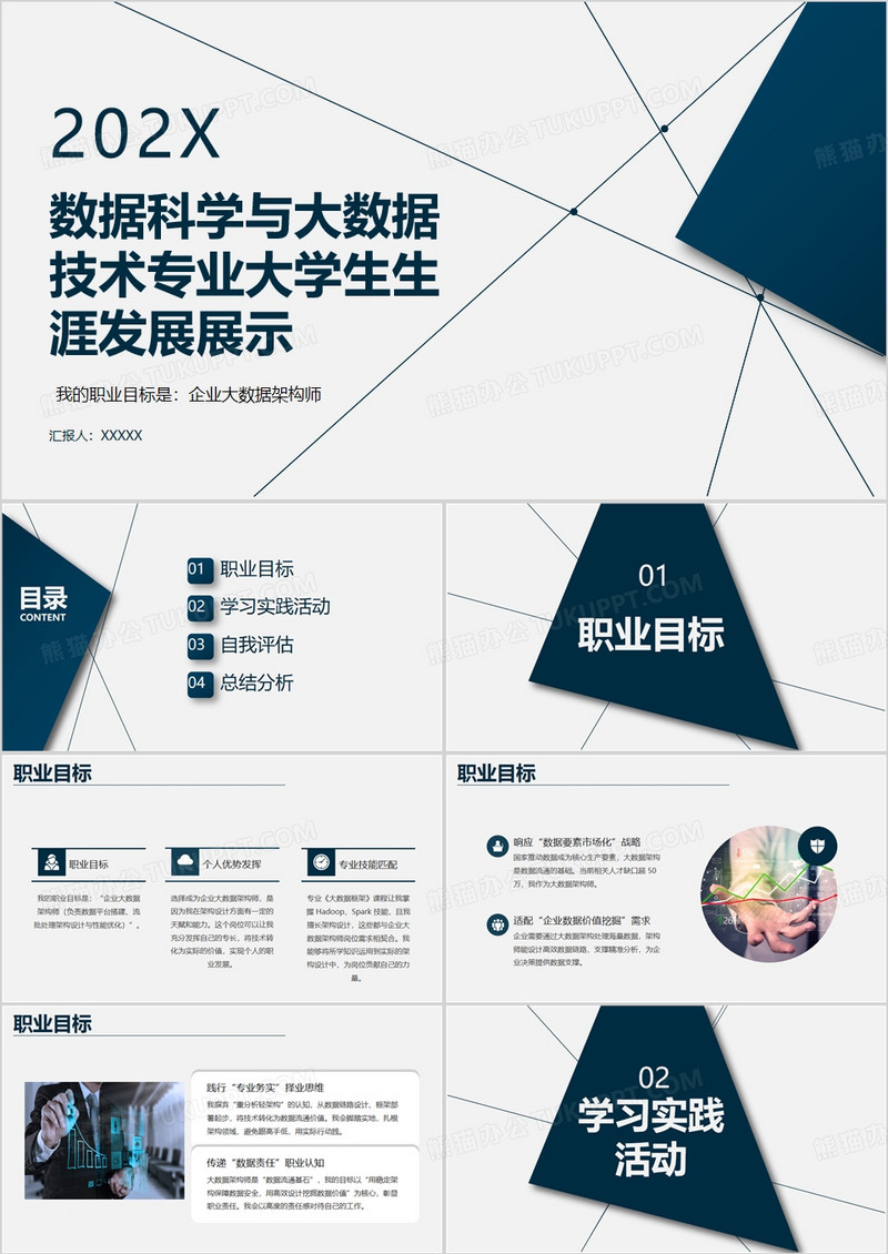 数据科学与大数据技术专业大学生生涯发展展示