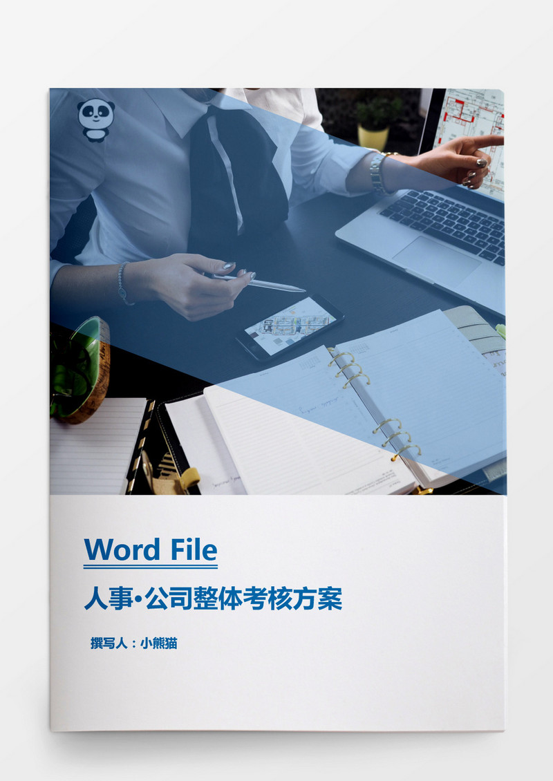 公司整体考核方案word文档