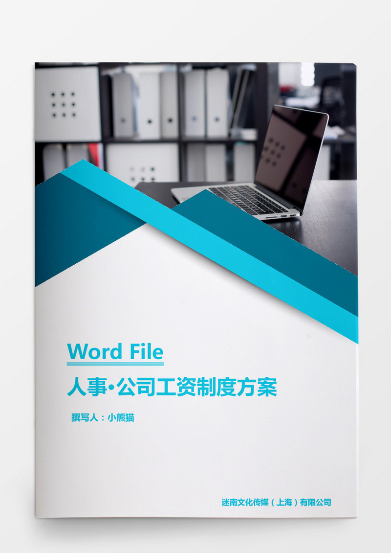 人事企业管理公司工资制度方案word文档