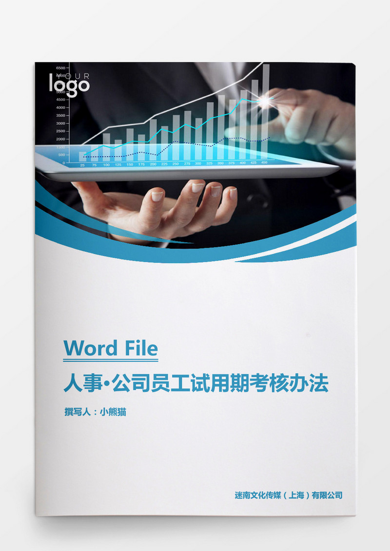 人事管理公司员工试用期考核办法word文档