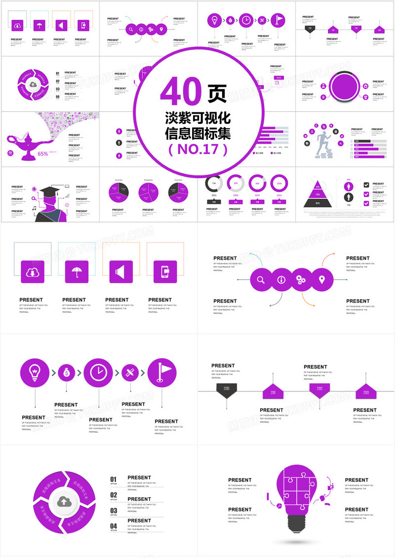 40页淡紫信息可视化图表集PPT模板