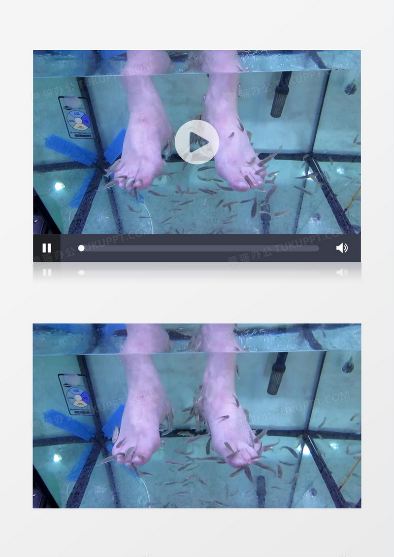 小鱼亲吻洗脚足部按摩放松护理实拍视频