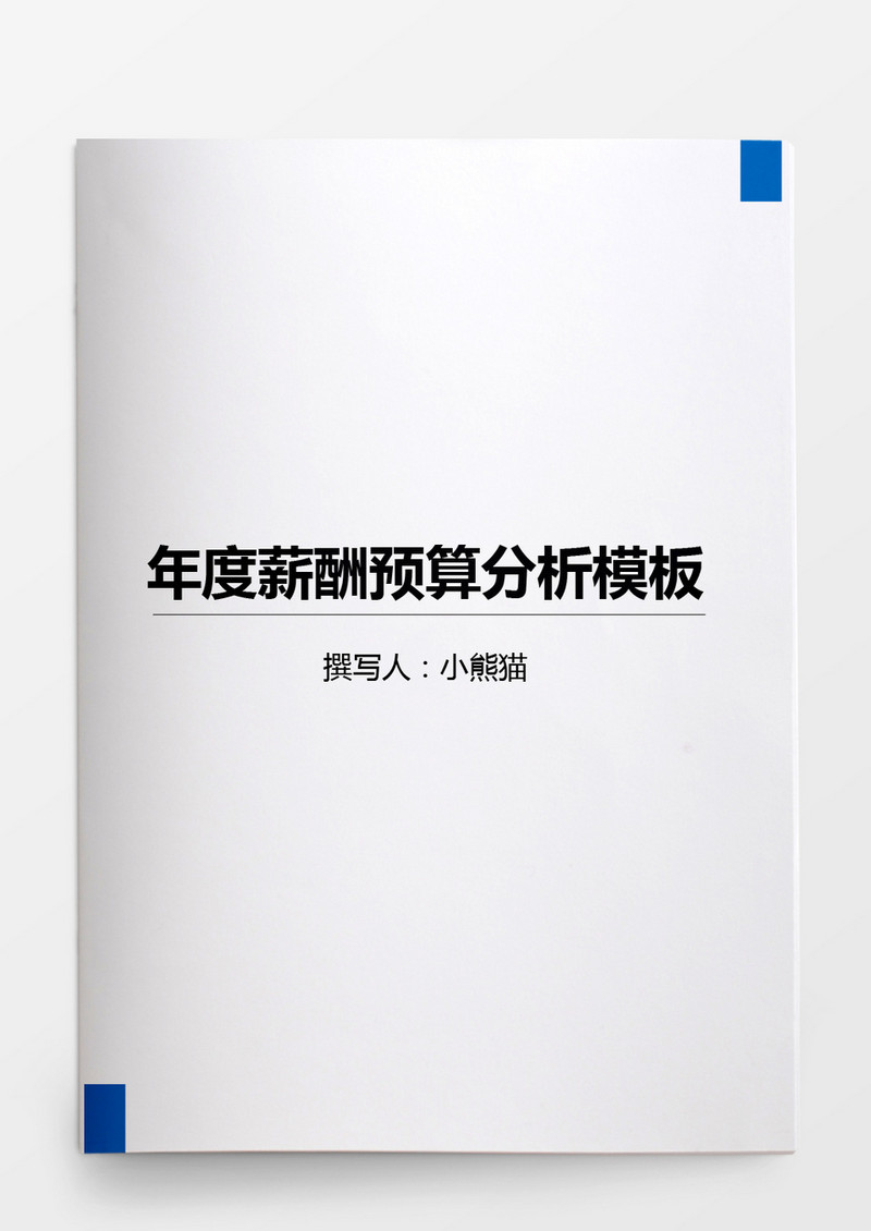 年度薪酬预算分析模板word文档