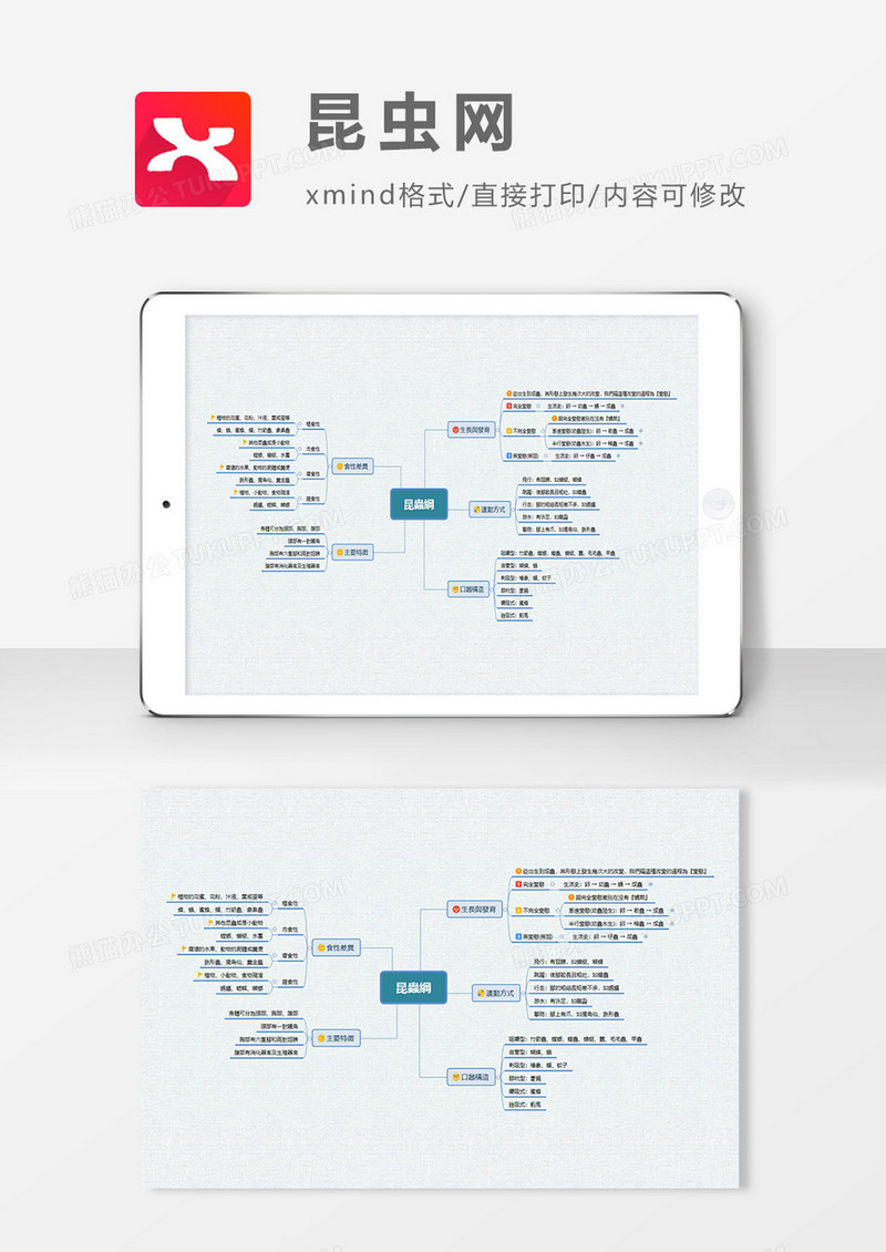 思维导图昆虫网XMind模板