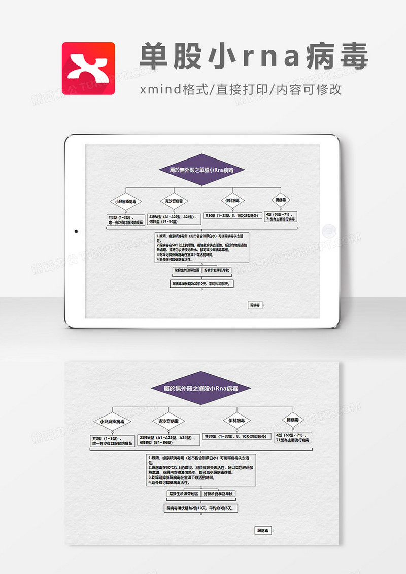 思维导图单股小rna病毒XMind模板