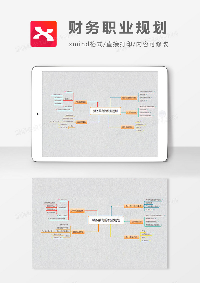思维导图简洁财务职业规划XMind模板