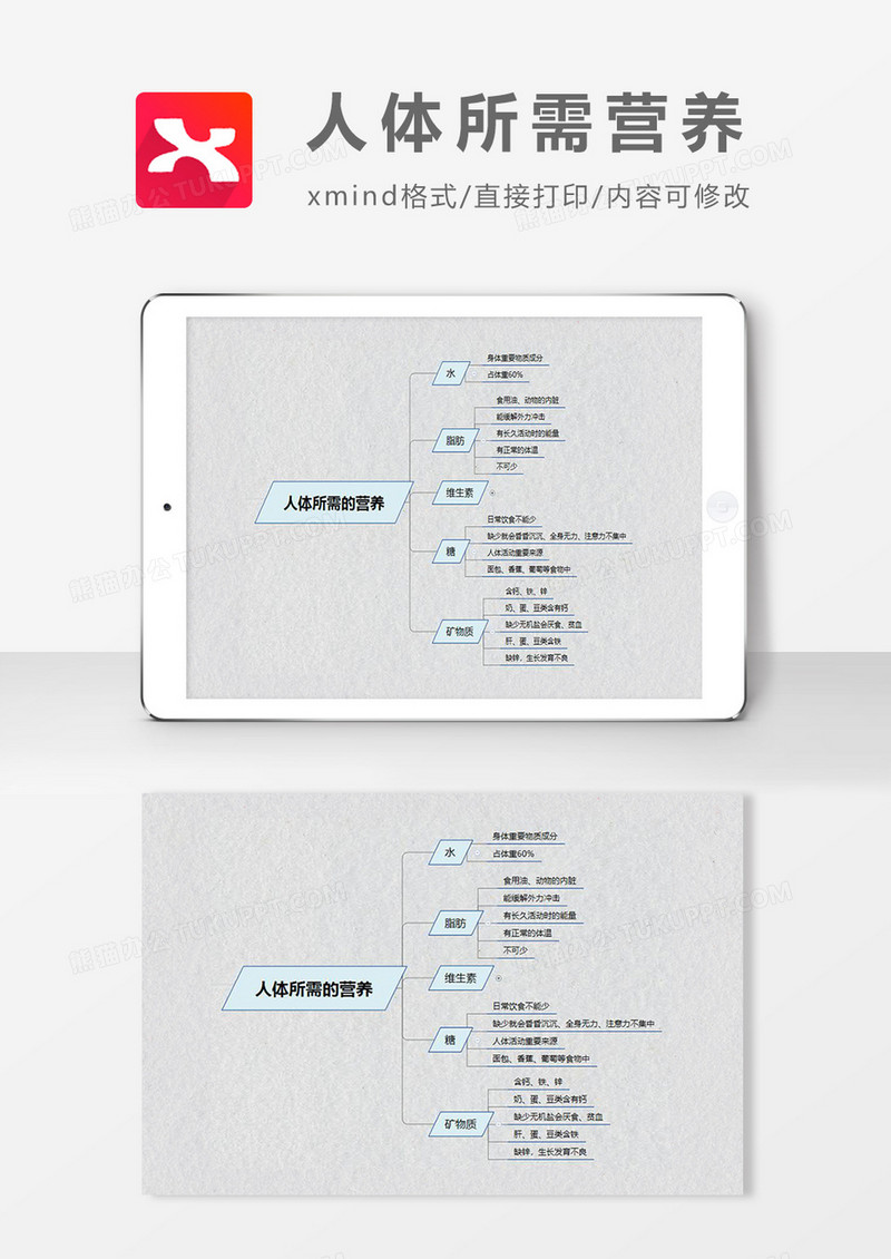 思维导图简洁个人所需营养XMind模板