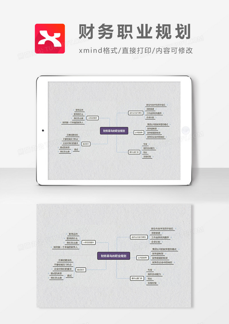 思维导图财务职业规划简洁XMind模板