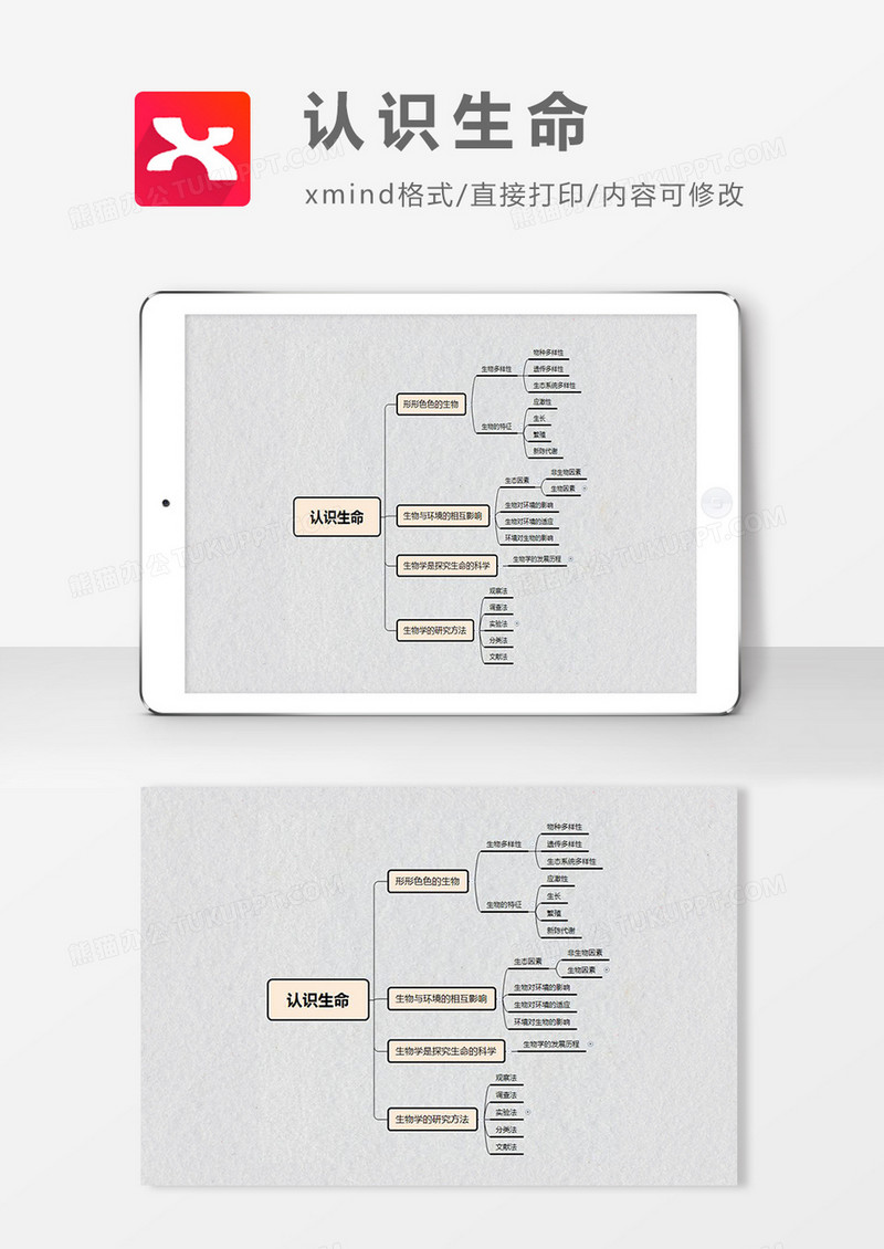 思维导图简约大气认识生命XMind模板