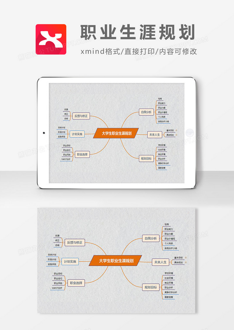 职业生涯规划思维导图简约大气XMind模板