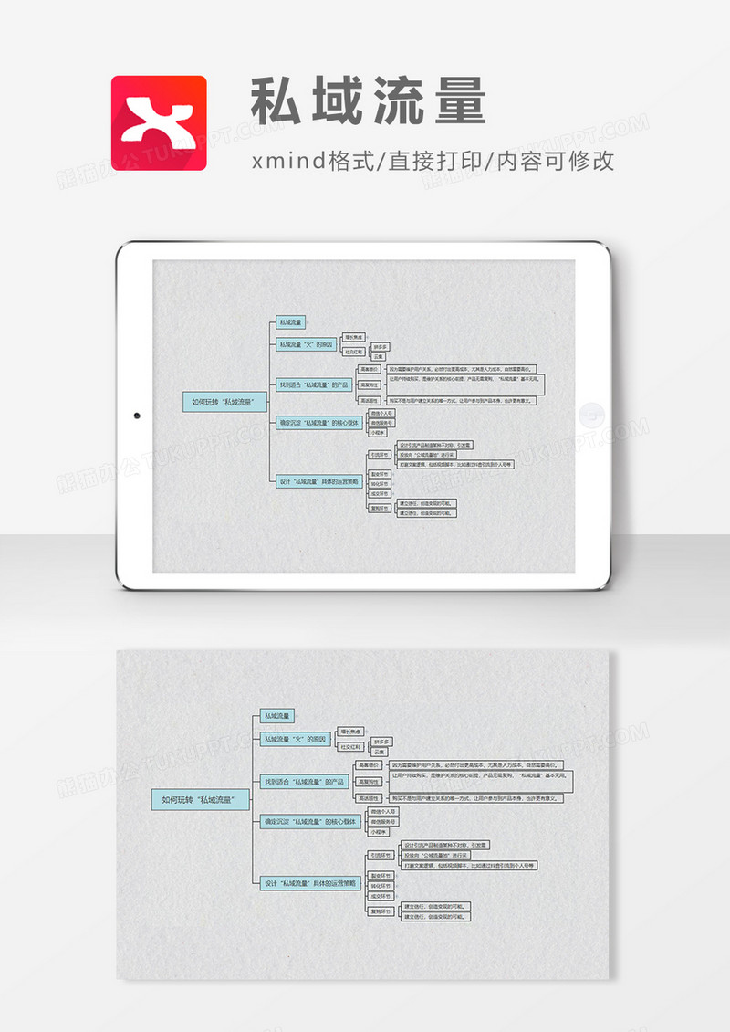 私域流量思维导图简约大气XMind模板