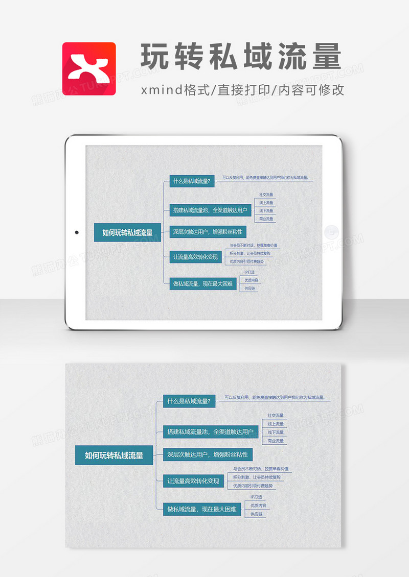 玩转私域流量思维导图简约大气XMind模板