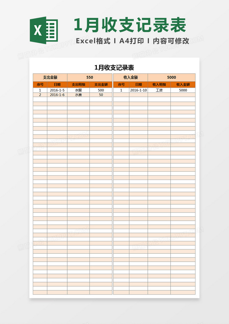 公司年度收支记录表明细