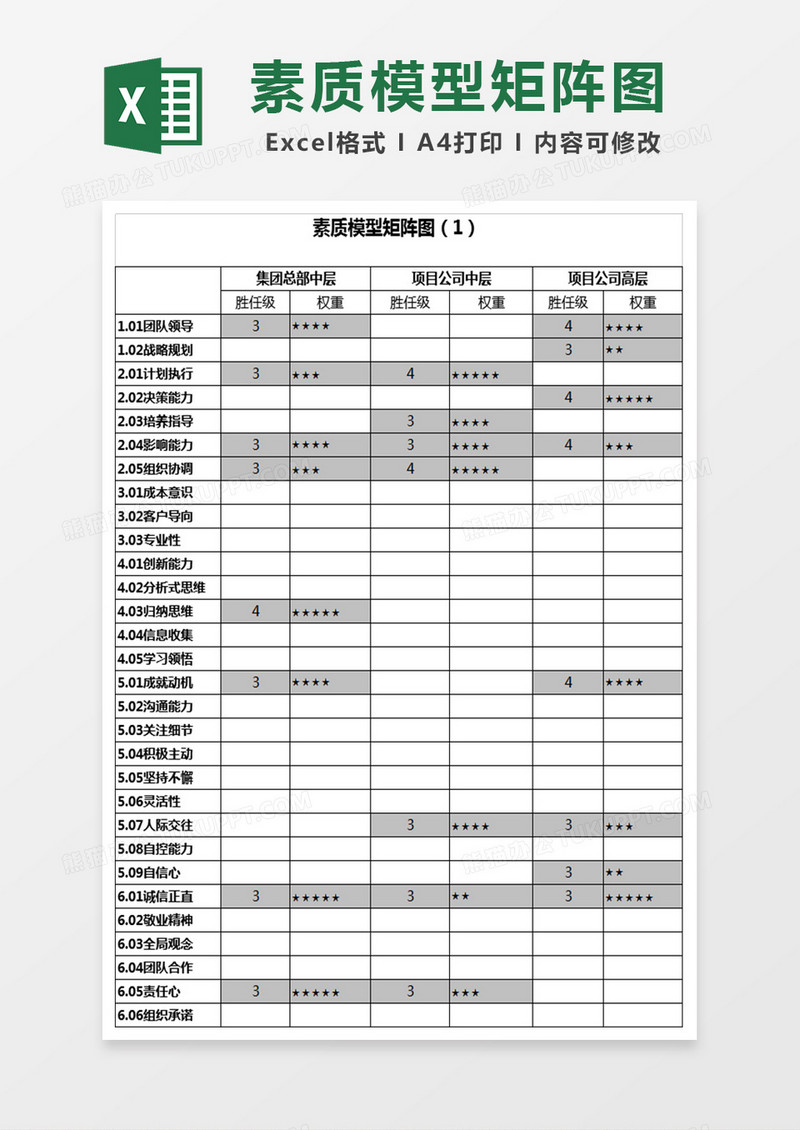 素质模型矩阵图excel模板